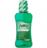 HILLO LIQUIDO ENXAGUANTE BUCAL HORTELÃ 250ML